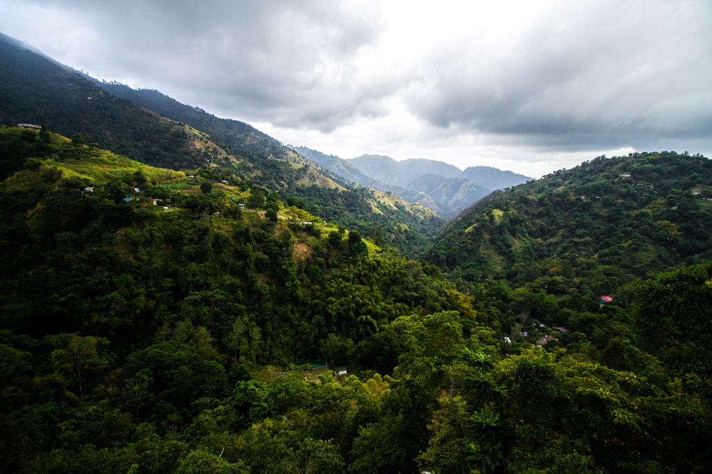 Jamaica Blue Mountain - kávový klenot ze srdce Karibiku